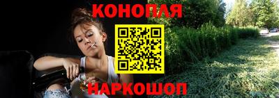 СК Будённовск