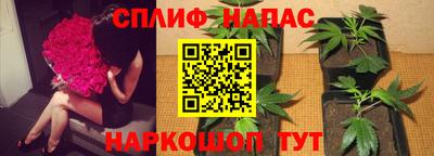 СК Будённовск