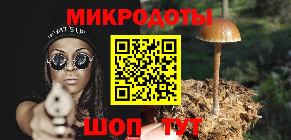 Сланцы  Псилоцибиновые грибы Psilocybe  Вход с VPN 
